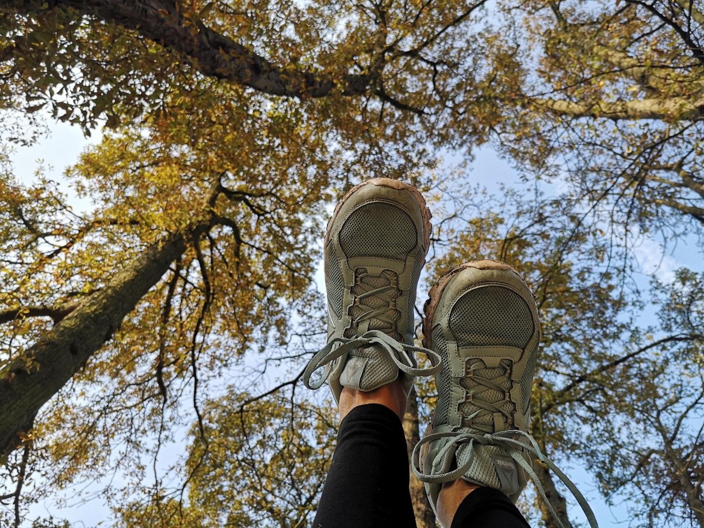 Sport im Park erwacht
